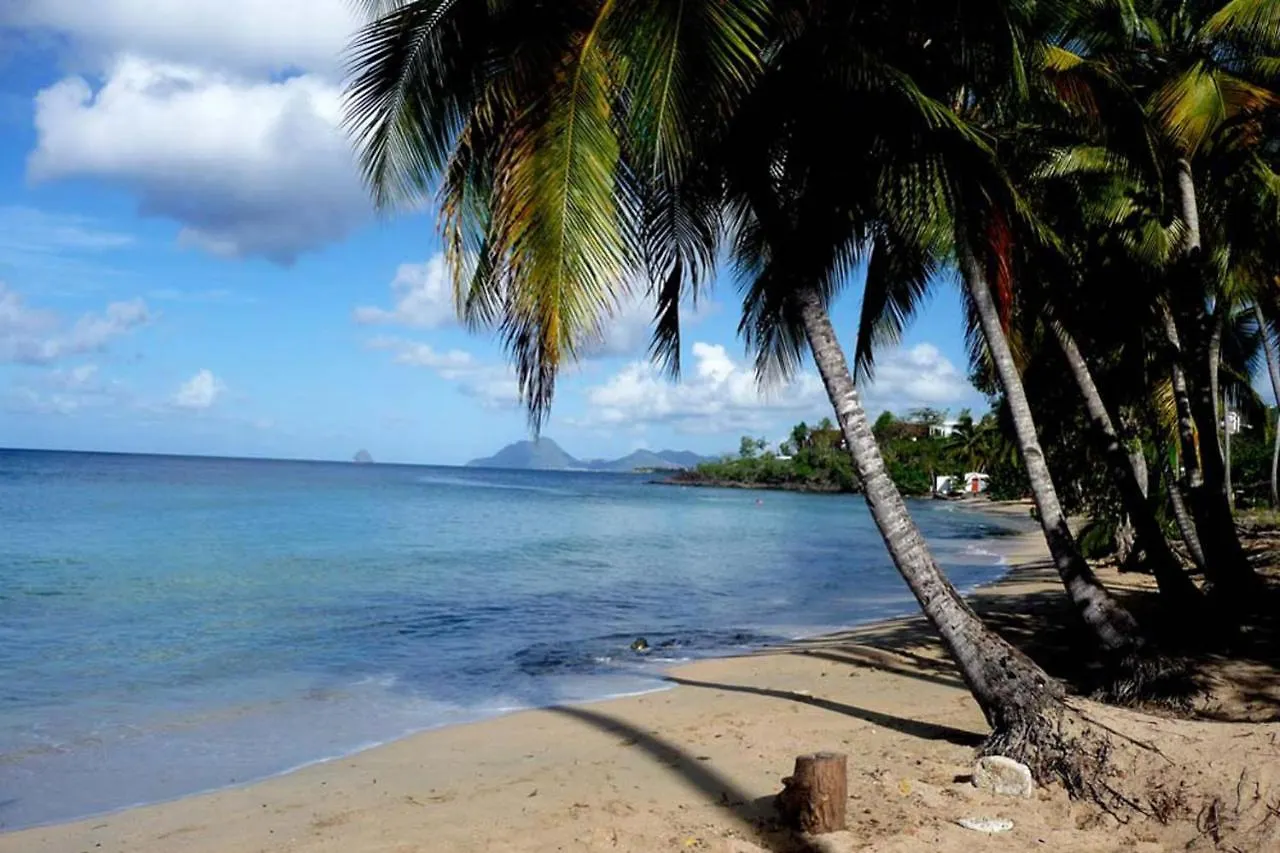 Bungalow Charmant A Riviere-Salee Avec Terrasse Privee 马提尼克